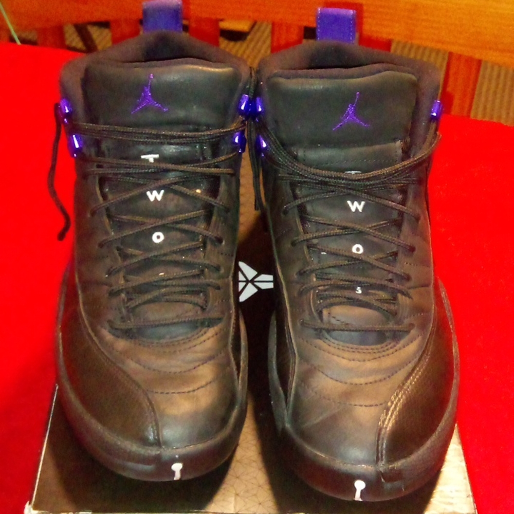 2020 Air Jordan 12 Dark Concord